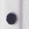 Water Strider - Image 7