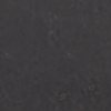 Bluefishdnim_wm - Image 7