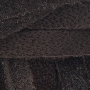 Zshoelace - Image 2