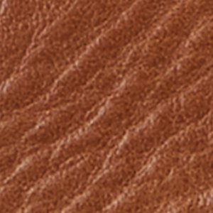 Moc Striper Sneakers - Image 7