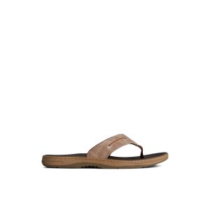 Baitfish Flip-Flops