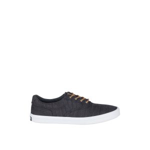 Striper II Baja CVO Sneaker