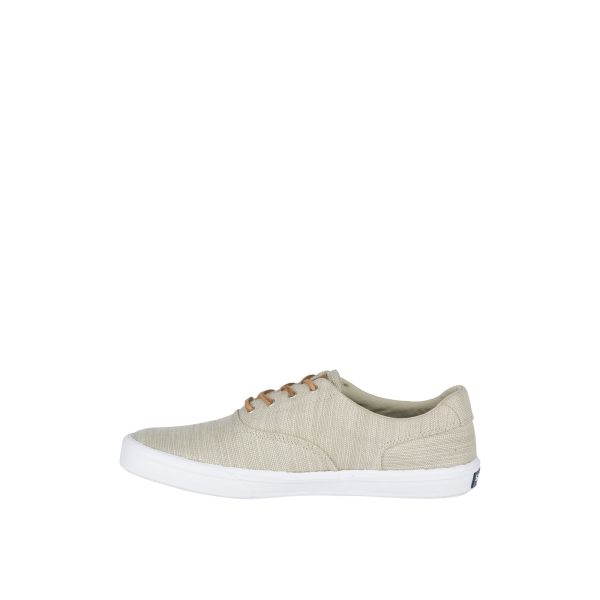Striper II Baja CVO Sneaker - Image 2