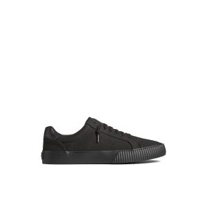 Bermuda Sneaker