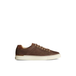 Gold Cup? Striper LTT Sneaker
