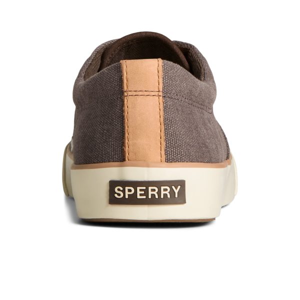 Striper II Washed Canvas CVO Sneaker - Image 4