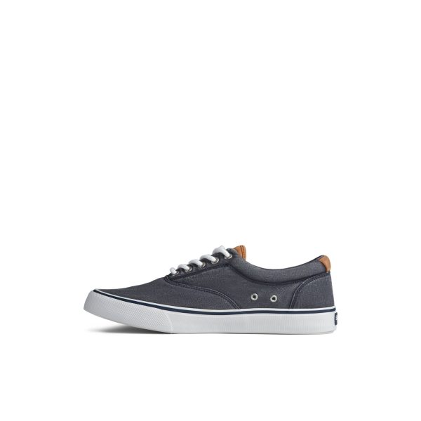 Striper II CVO Sneaker - Image 2