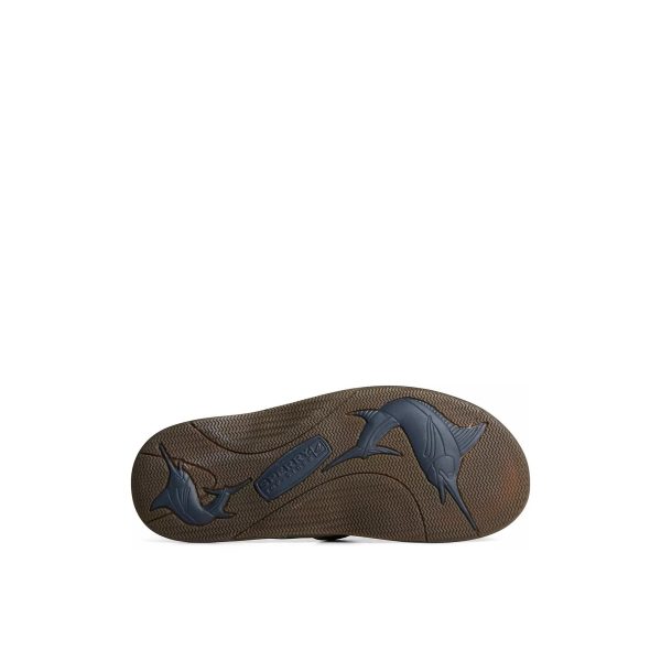 Dblmarlin_mm - Image 5
