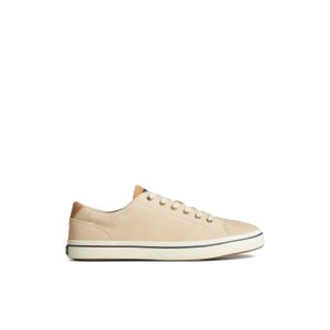 Striper II LLT Leather Sneaker