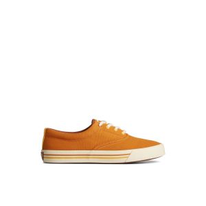 Seacycled? Striper II CVO Sneaker