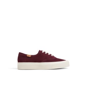 Candy CVO Sneakers